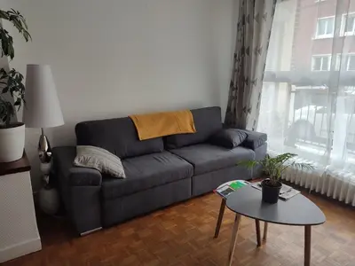 Coin salon dans l'établissement Appartement spacieux cosy en hypercentre proximité Cathédrale, Coliseum
