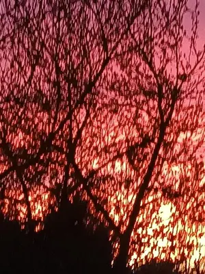 Lever ou coucher de soleil vu de la maison de vacances ou à proximité