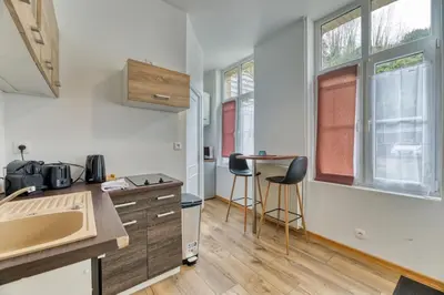 Cuisine ou kitchenette dans l'établissement Thomas F2 moderne au coeur de la Bouille