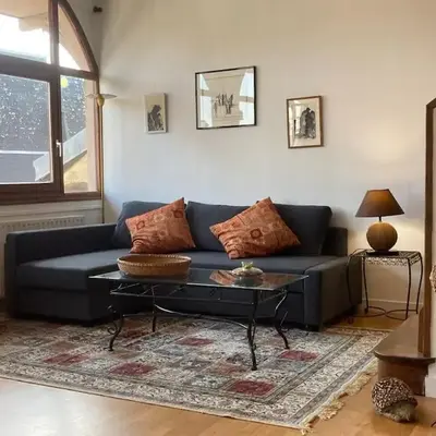 Appartement duplex de charme