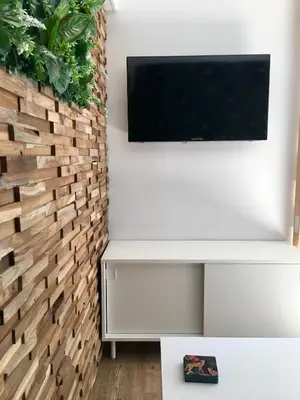 Télévision ou salle de divertissement dans l'établissement La cabane urbaine et son jardin