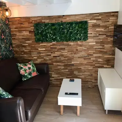 La cabane urbaine et son jardin