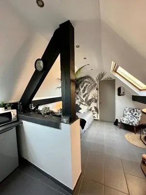 Cuisine ou kitchenette dans l'établissement Studio chaleureux hypercentre Amiens