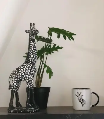 Plan de l'établissement LE GITE DE LA GIRAFE CENTRE VILLE LOUVIERS