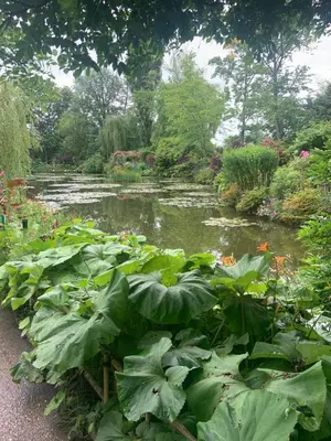 Jardin de l'établissement Le Clos de l'Eglise - Inès