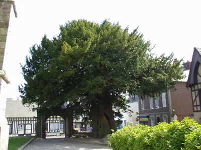 Plan de l'établissement Clos Marie-Louise