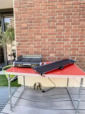 Tennis de table au sein de l'établissement Grande Maison Cosy Terrasse Parking Gare 8 Pers ou à proximité
