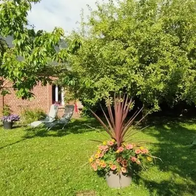 Le logis de la chouette
