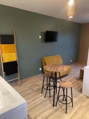 Télévision ou salle de divertissement dans l'établissement Studio jacuzzi Love Room
