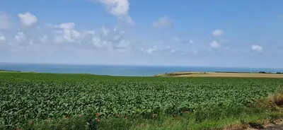 Paysage naturel près de l'appartement