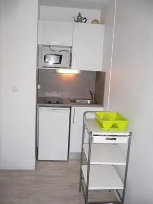 Cuisine ou kitchenette dans l'établissement Bel appartement meublé et aménagé