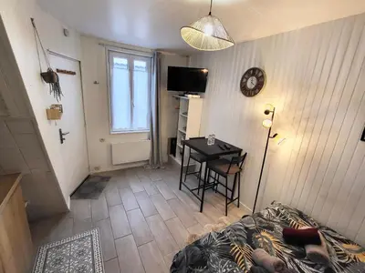 Télévision ou salle de divertissement dans l'établissement Studio cosy au cœur du quartier Saint-Pierre