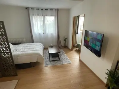 Télévision ou salle de divertissement dans l'établissement City Break plein centre & gare