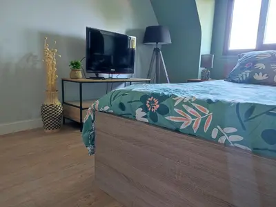 Télévision ou salle de divertissement dans l'établissement Green cosy