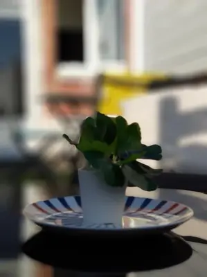 Plan de l'établissement Le Chat Bleu - Terrasse sur les toits - Wifi