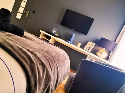 Télévision ou salle de divertissement dans l'établissement Le Beau Séjour 1 - Très Elégant - Proche Aéroport