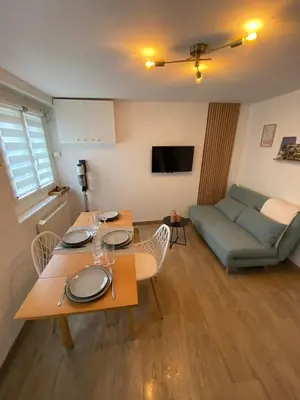 Télévision ou salle de divertissement dans l'établissement Cosy maison de ville Rouennaise