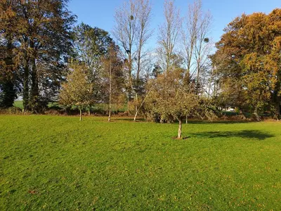 Jardin de l'établissement Le gîte du bois du fil