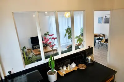 Télévision ou salle de divertissement dans l'établissement Appartement Rouen centre proche CHU