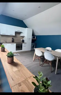 Cuisine ou kitchenette dans l'établissement Appartement Amiens-Camon