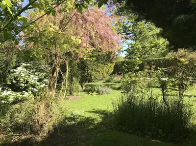 Jardin de l'établissement Metrie