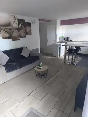 Cuisine ou kitchenette dans l'établissement Studio loué entier proche de Paris
