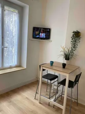 Télévision ou salle de divertissement dans l'établissement Studio N1 hypercentre Rue Saint Nicolas