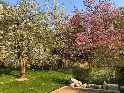 Jardin de l'établissement La Belle Vie du Vexin , à une heure de Paris