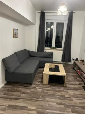 Coin salon dans l'établissement Appartement bord de seine