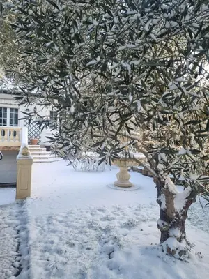 L'établissement A la maison du bonheur en hiver