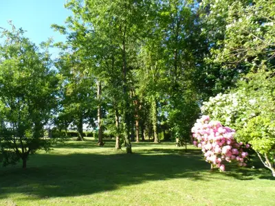 Jardin de l'établissement Gîte de l'Epinay Mirabelle