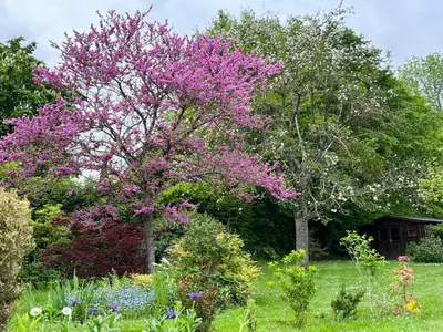 Jardin de l'établissement LA GUITOUNE