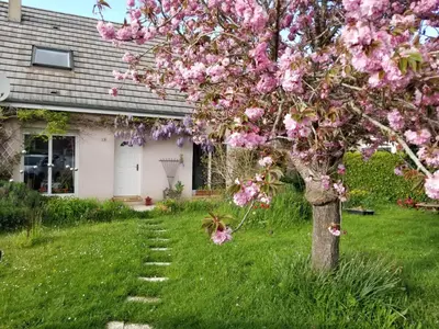 Jardin de l'établissement Chez Loti 2