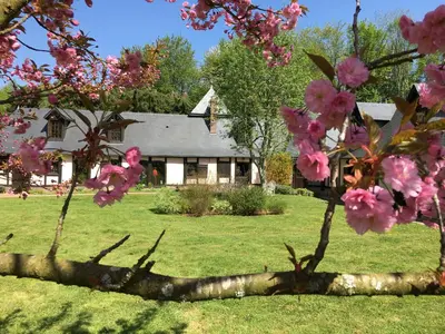 Jardin de l'établissement Il Était Autrefois