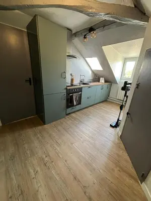 Cuisine ou kitchenette dans l'établissement Jungle Cosy
