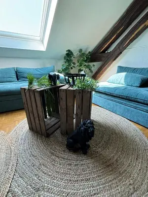 Coin salon dans l'établissement Jungle Cosy