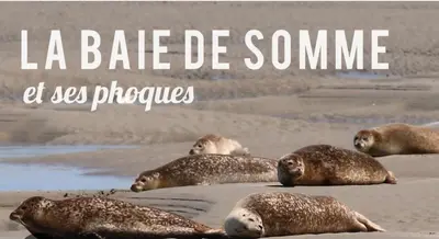 Plan de l'établissement Nid nature et douceur à Eu - Proche du Treport et de la Baie de Somme