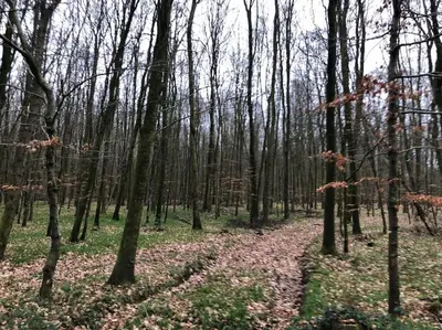 Paysage naturel près de la maison de vacances