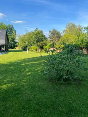 Jardin de l'établissement Suite avec salon prive 25m2 Wifi Netflix Duclair
