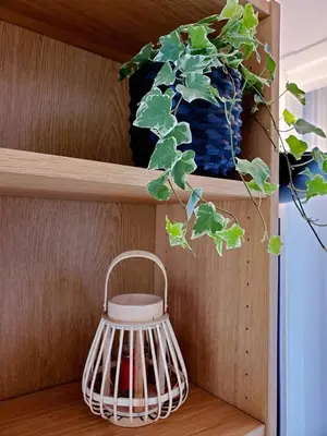 Plan de l'établissement Le Loft de L’Écluse / F2 cosy au bord de l'eau