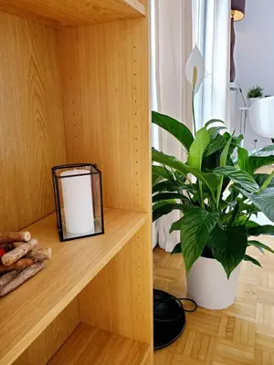 Plan de l'établissement Le Loft de L’Écluse / F2 cosy au bord de l'eau