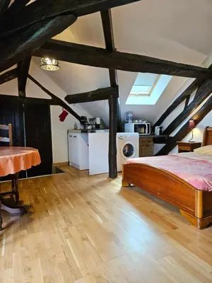 Cuisine ou kitchenette dans l'établissement 5 Mins to ZOOTHOIRY STUDIO LUMINEUX