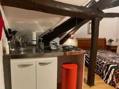 Cuisine ou kitchenette dans l'établissement 5 Mins to ZOOTHOIRY STUDIO LUMINEUX