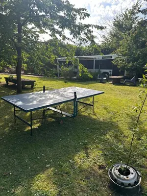 Tennis de table au sein de l'établissement TERMINUSBUS ou à proximité