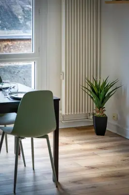 Coin salon dans l'établissement Marine votre F2 moderne à Rouen