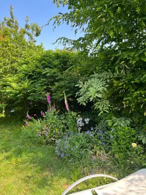 Jardin de l'établissement Chambre cosy
