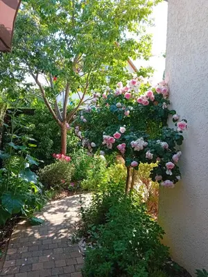 Jardin de l'établissement Chambre de charme