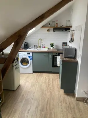 Cuisine ou kitchenette dans l'établissement Studio confortable et fonctionnel proche gare