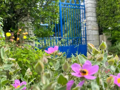 Jardin de l'établissement Le chant des roses