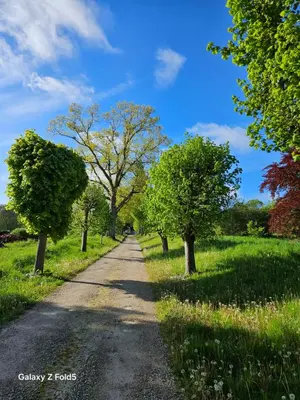Paysage naturel près de l'appartement